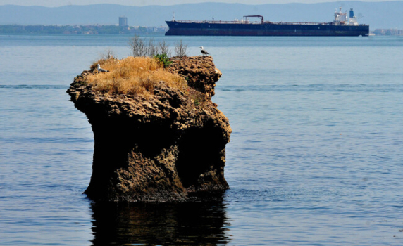 Морето изхвърли мъртва крава край Черноморец