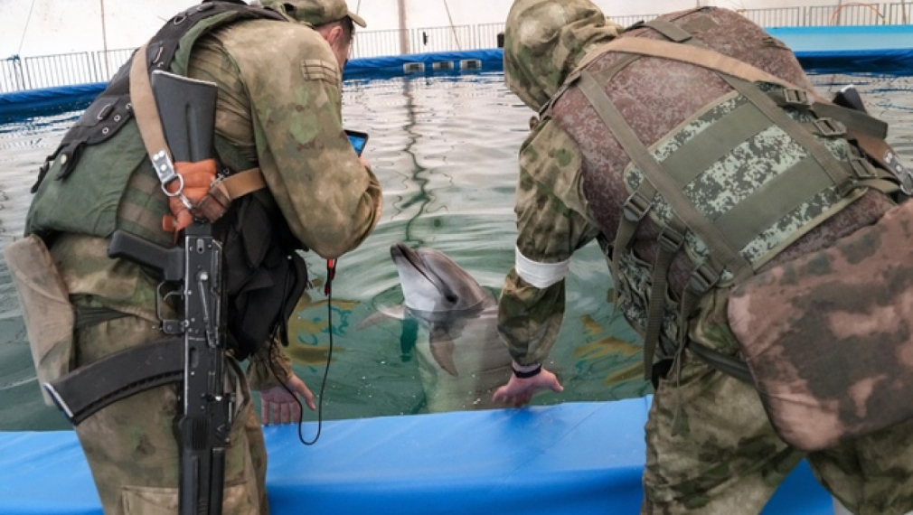 Руски военни общуват с делфин в делфинариум в окупираната част