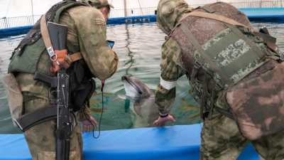 Руски военни общуват с делфин в делфинариум в окупираната част
