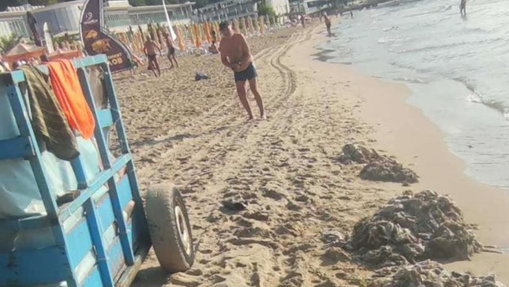 Хиляди използвани мокри кърпички изплуваха на варненския плаж