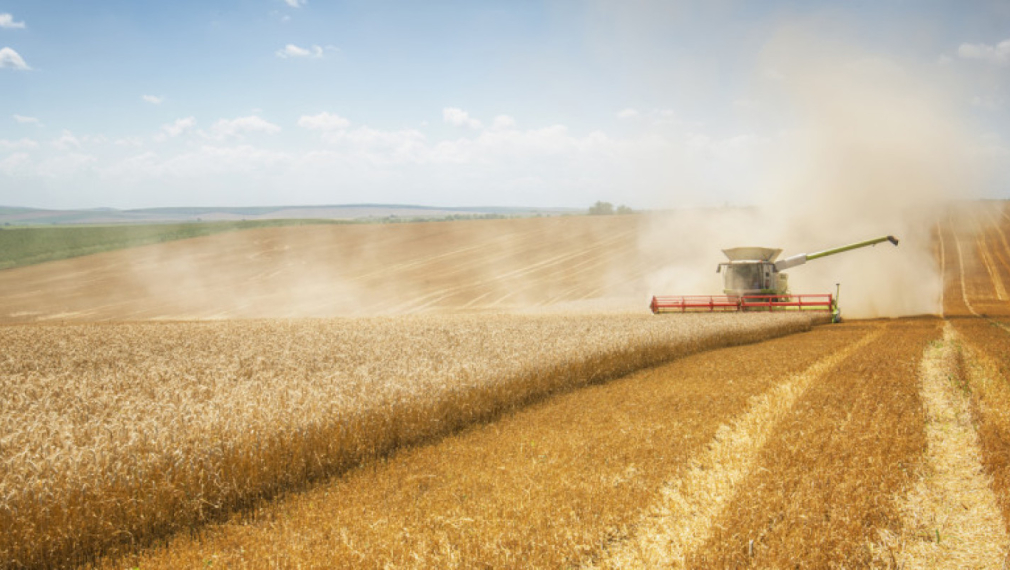 Цената на пшеницата расте, след като Русия обяви, че се оттегля от зърнената сделка