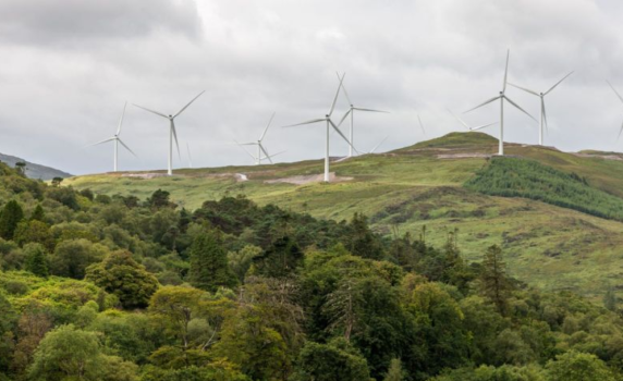 16 милиона дървета са изсечени заради ветрогенератори в Шотландия