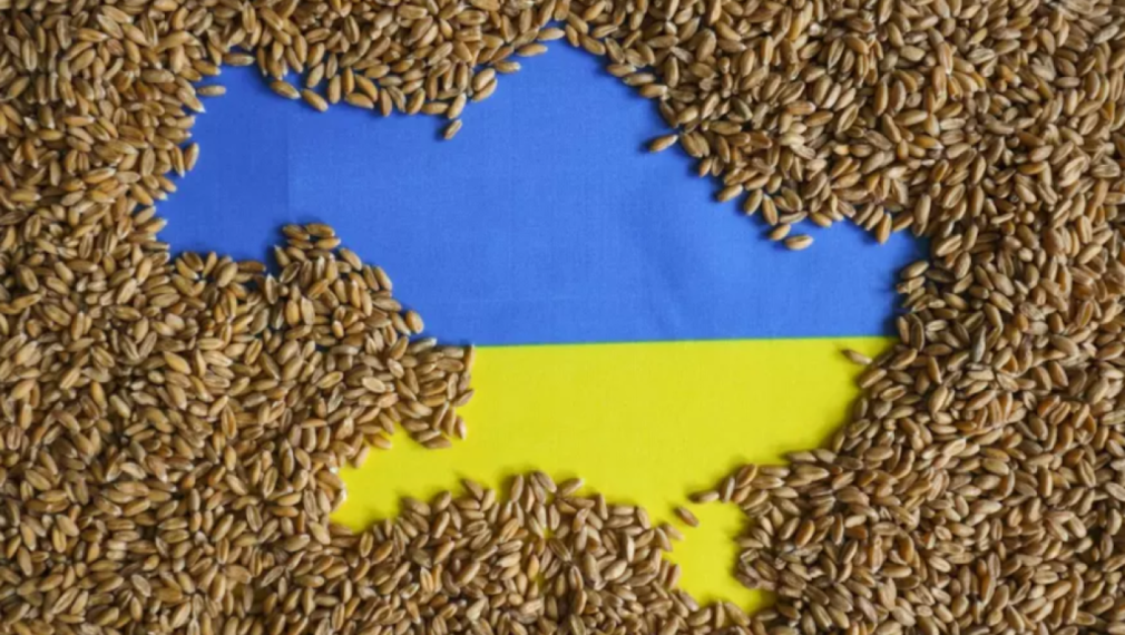 България се отказва от забраната за внос на украинско зърно