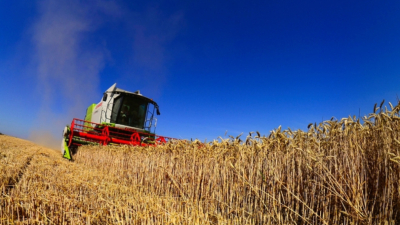 "Дойче веле": Унгария и Полша спират вноса на зърно от Украйна, за да предпазят от катастрофа фермерите си