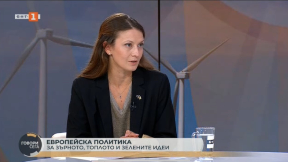Цветелина Пенкова: Действията на правителството без стратегия и план не решават проблемите
