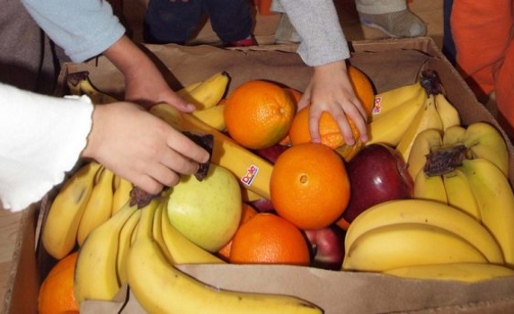 Фонд "Земеделие" не е плащал на доставчици на плодове по "Училищен плод" заради нарушения
