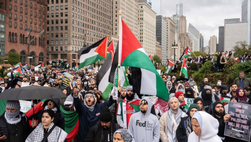 Пропалестински протести в Ню Йорк, Европа, Мексико, Ливан, Ирак, Йордания, Египет, Анкара и Истанбул, Индонезия, Малайзия, Мароко, Южна Африка и др.