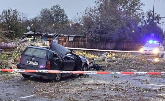 Мъж загина в София, а жена му е в тежко състояние, след като дърво падна върху колата им