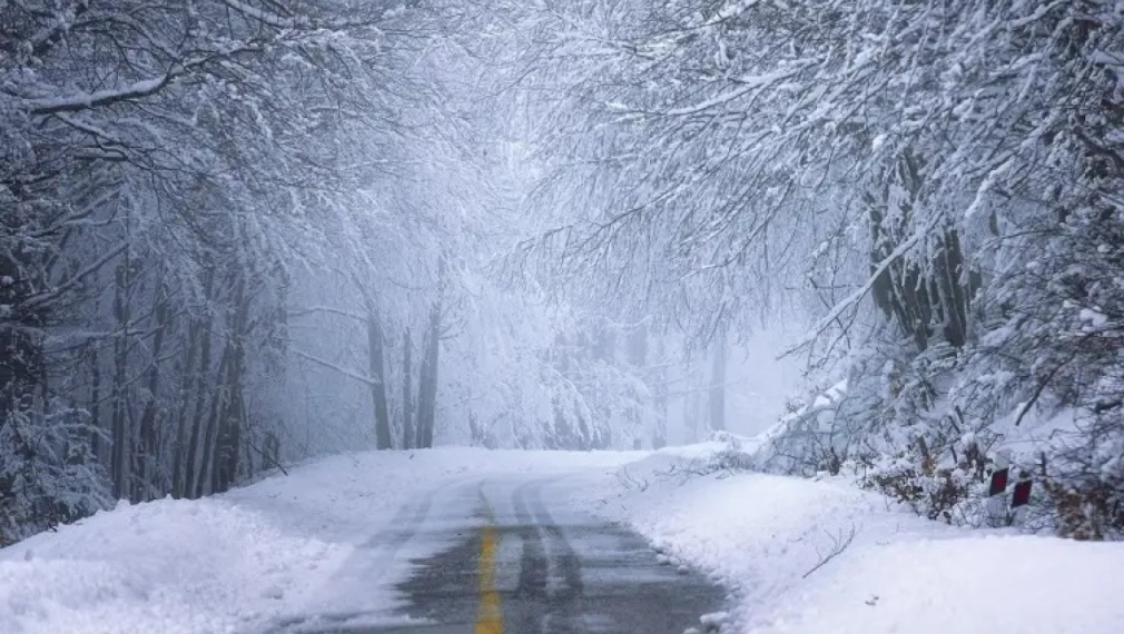 Затвориха пътя Бургас - Варна и Троянския проход заради снеговалежа