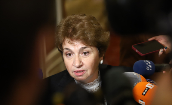 Плугчиева: Заради афганистанците престъпността в Германия се е увеличила три пъти. ЕС е пред взрив