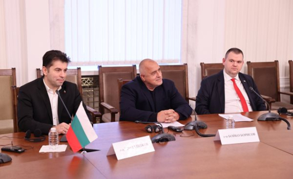 Борисов, Пеевски и Петков разговаряха със Зеленски, той им благодари