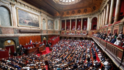 Френският Сенат одобри вписването на правото на аборт в конституцията