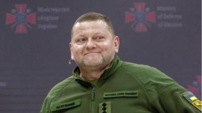 Бившият главнокомандващ на Въоръжените сили на Украйна ВСУ Валерий Залужни
