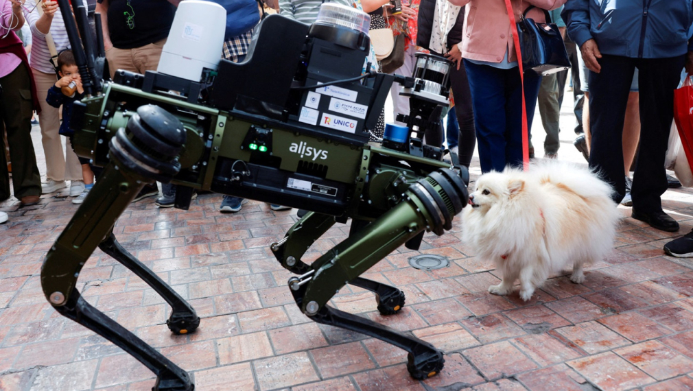 Куче-робот ще патрулира по улиците в испански град (видео)