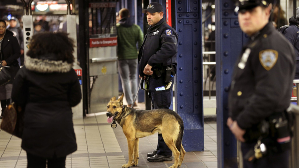 Непознат бутна пътник под влака в метрото на Ню Йорк (видео)