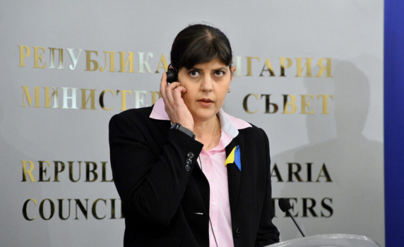 Европейската прокуратура е поискала административно наказание за български овчар