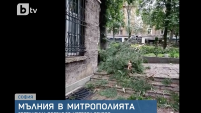 Мълния падна в двора на Софийската митрополия и порази 30-метрова секвоя, посадена по желание на патриарх Максим