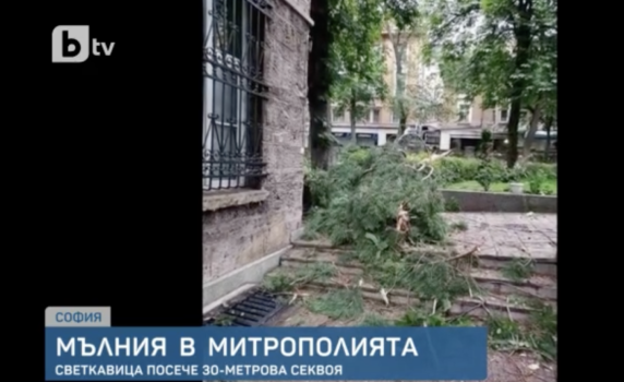 Мълния падна в двора на Софийската митрополия и порази 30-метрова секвоя, посадена по желание на патриарх Максим