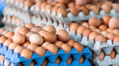 Еврокомисията налага мита върху вноса на яйца от Украйна