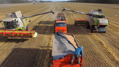 "Файненшъл таймс": Европейските производители на торове могат да фалират заради руската конкуренция