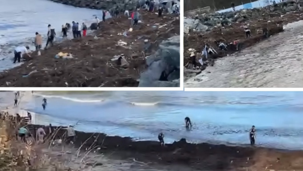 Десетки грабят столевки от морето в Царево, отнесен сейф се разби край понтона (видео)