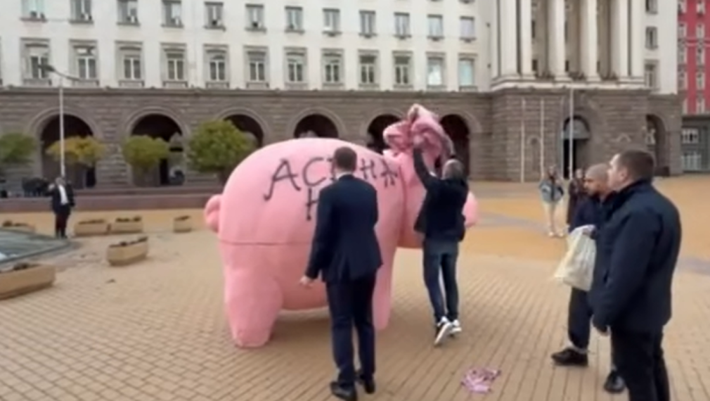 “Асена не е гей!”: Депутати от ДПС надраскаха със спрей розовото прасе на ПП (видео)
