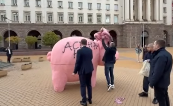 “Асена не е гей!”: Депутати от ДПС надраскаха със спрей розовото прасе на ПП (видео)