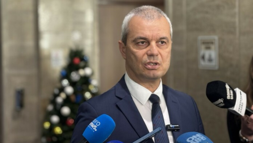 Костадинов: Внасяме решение за отлагане на еврозоната заради форсмажорни обстоятелства