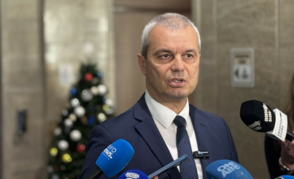 Костадинов: Внасяме решение за отлагане на еврозоната заради форсмажорни обстоятелства