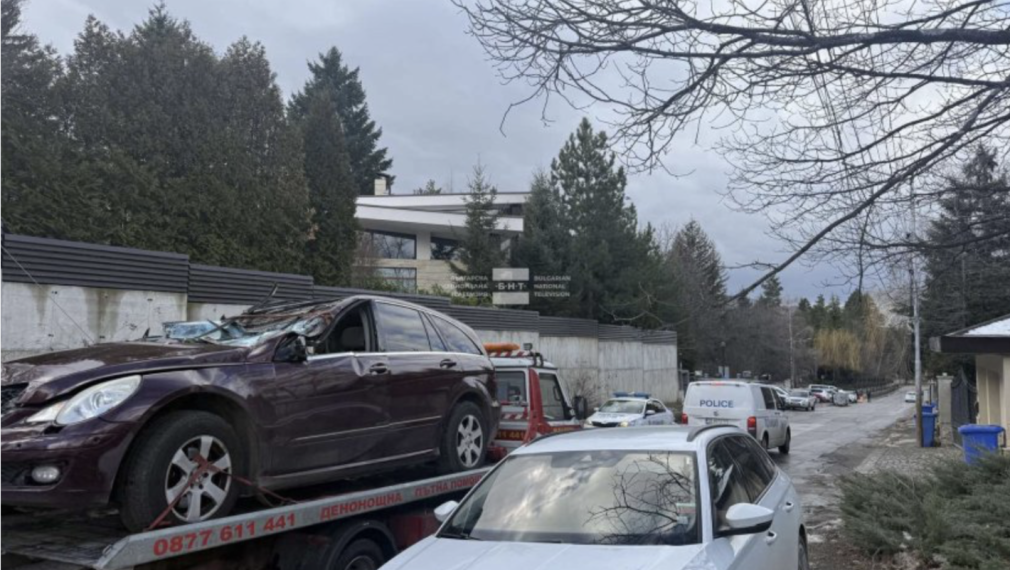 Жена е загинала, след като дърво падна върху кола на Витоша
