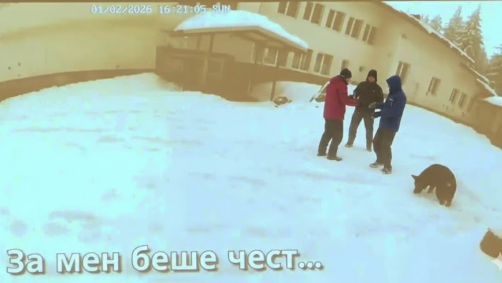 Разследващите: Обитателите на хижата в Петрохан са я подпалили сами. Разследваме версия за убийство с последващо самоубийство или самоубийство