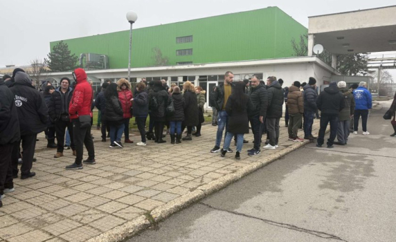 Завод за целулоза в Свищов пред фалит: 300 работници чакат до 5500 лв. заплати