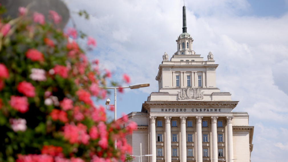 Първи резултати от парламентарния вот: Вълна за Радев и „Прогресивна България“
