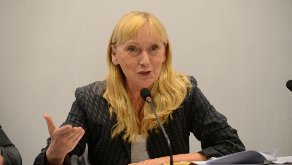 Елена Йончева говори в ЕП за безпрецедентния натиск върху избирателите по време на кампанията в България