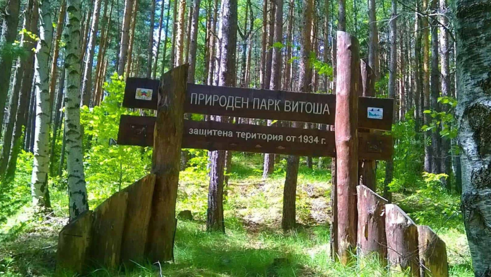 Откриха обезобразено тяло на мъж на Витоша