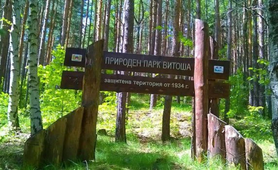 Откриха обезобразено тяло на мъж на Витоша