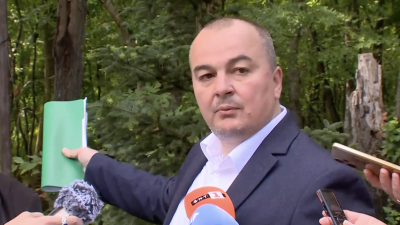 Министърът Абровски: Четири от деветте оградени имота в Баба Алино са държавна собственост