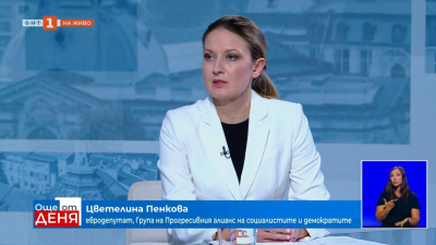 Цветелина Пенкова: България е приоритетен регион за инвестиции в електропреносните мрежи