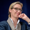 Алис Вайдел пред „The Economist“: Зеленски трябва да бъде притиснат за мир. Съсипваме Германия, за да плащаме за загубена война (видео със субтитри)